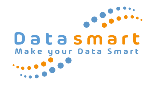 logo Data-Smart